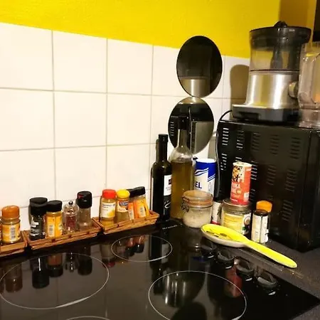 Сasa de vacaciones T2 E Terraco Pl. Des Terreaux Lyon